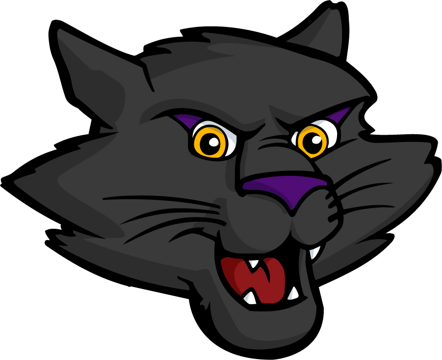 Northern Iowa Panthers 2021-Pres Mascot Logo v2 t shirts iron on transfers